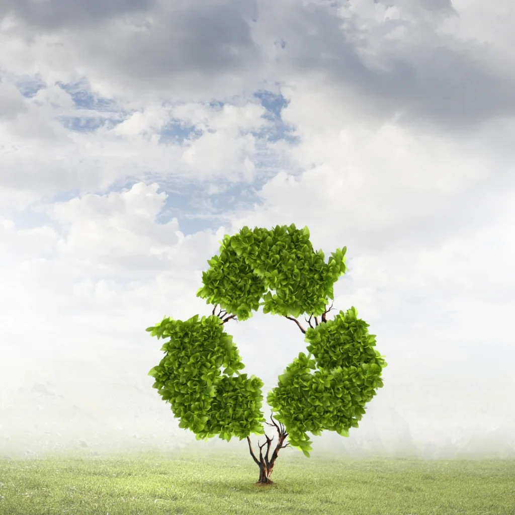 Der Recyclingprozess