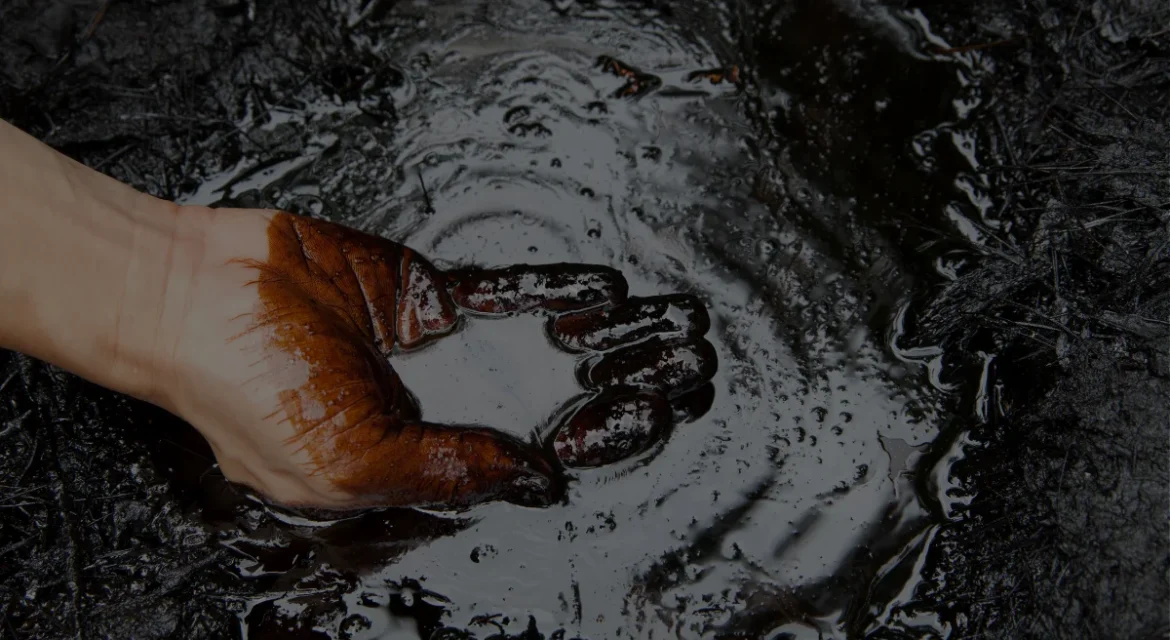 What is Petroleum