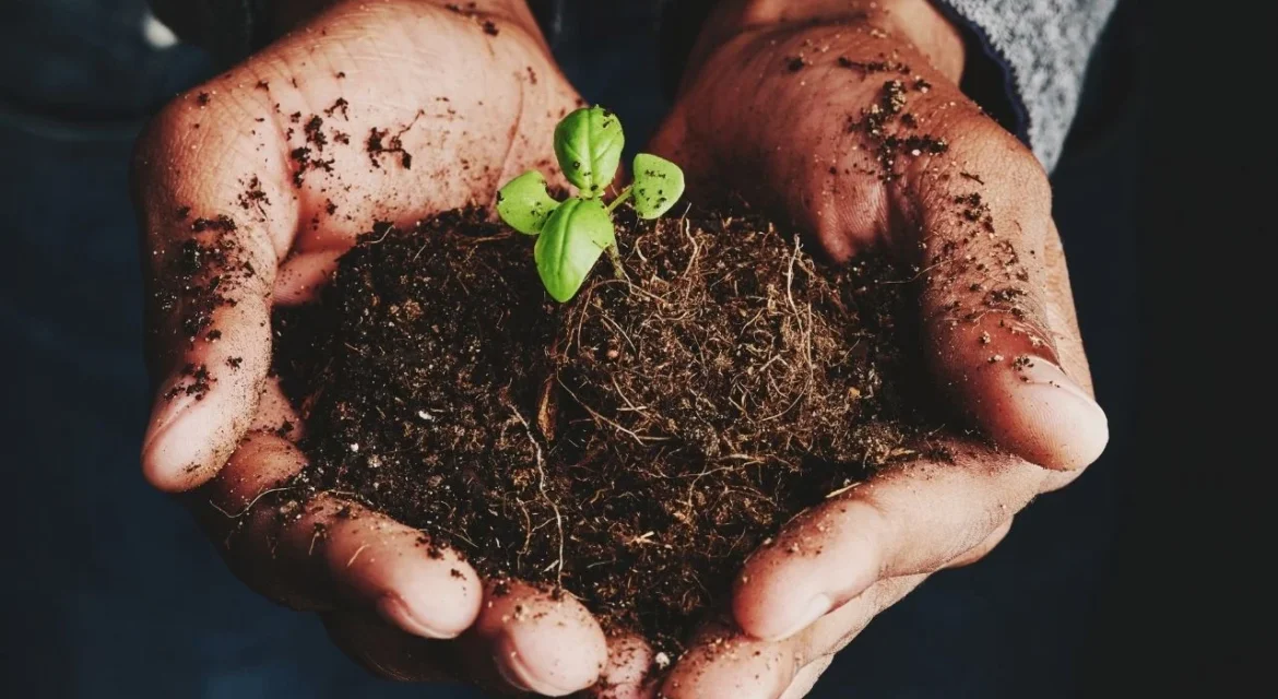 How Can We Contribute to Recycling as Individuals