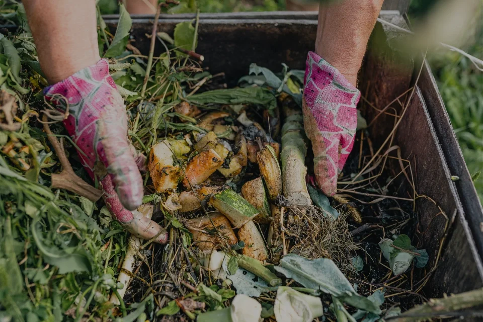Composting Organic Waste